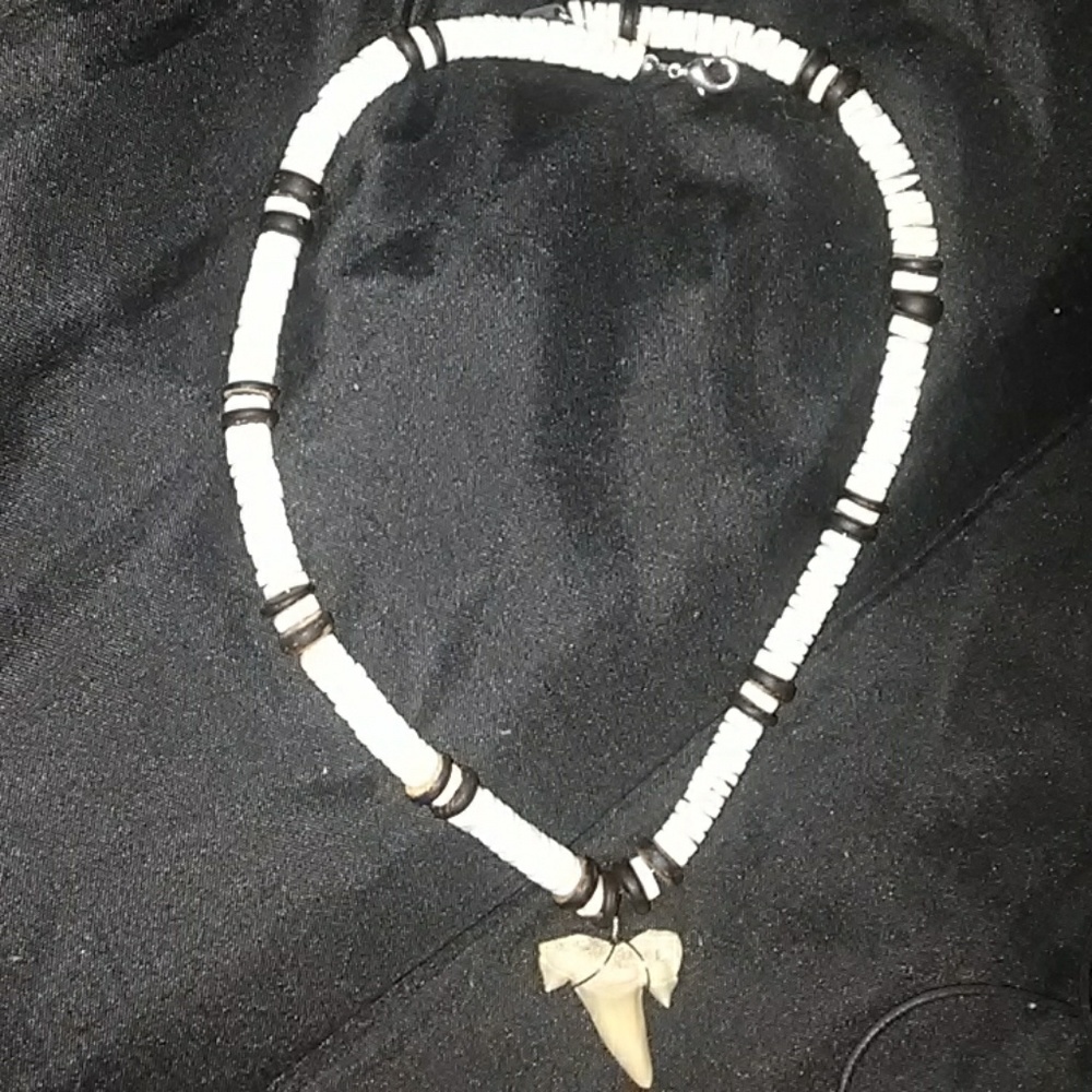 Shark tooth necklace